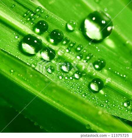 big water drop 11375725