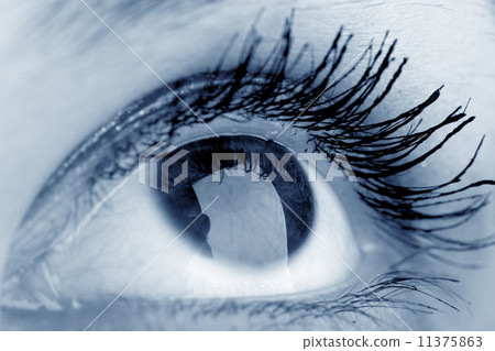 eye eye 11375863