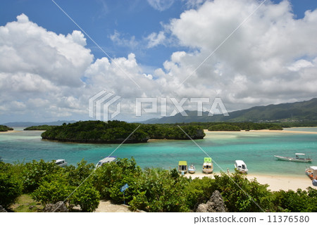 Sightseeing 11376580