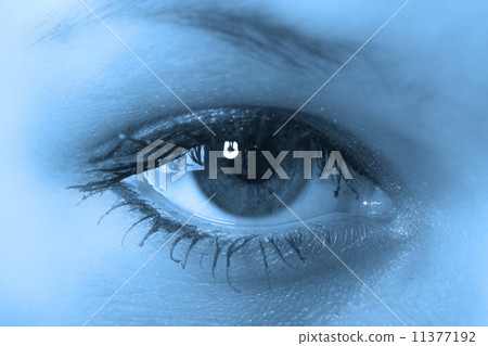 eye 11377192