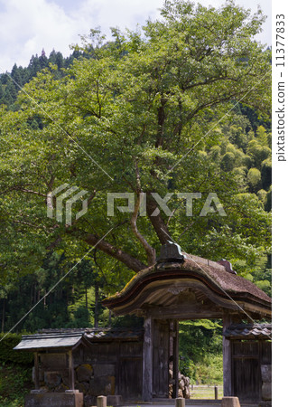 毀了Ichikawa Asakura 毀了Ichikawa Asakura 11377833