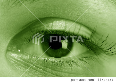 eye 11378435
