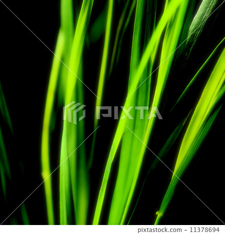 abstract green background abstract green background 11378694