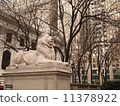 New York City Library 11378922