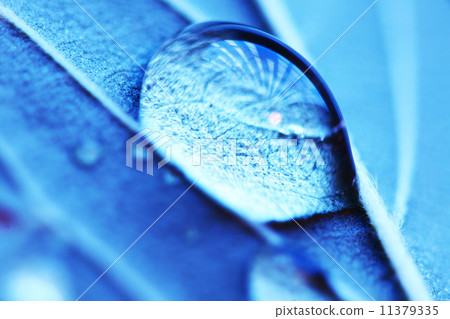 water drop macro water drop macro 11379335