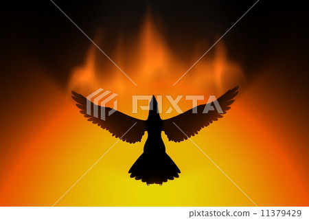 phoenix rising phoenix rising 11379429