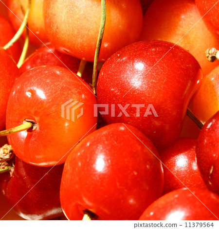 sweet cherry sweet cherry 11379564