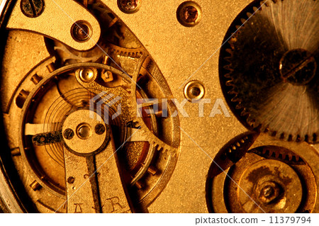 golden gear golden gear 11379794