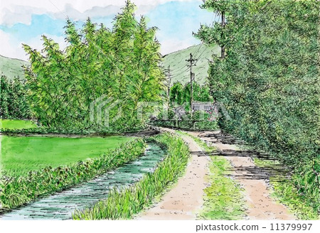 Summer path 11379997