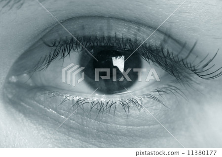 eye 11380177