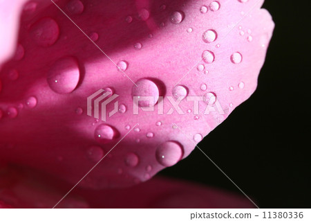 natural waterdrop 11380336