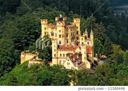 Hohenschwangau Castle 11380446