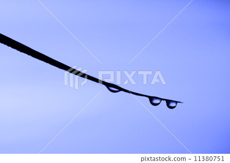 waterdrop leaf waterdrop leaf 11380751
