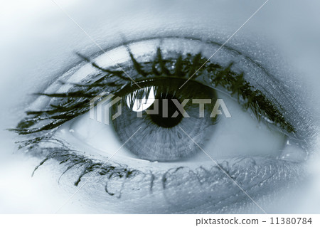 eye eye 11380784