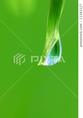 big water drop 11381227