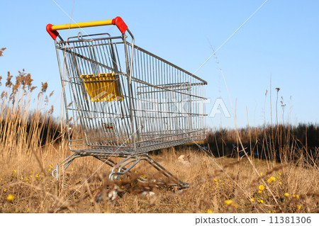 go shoping cart 11381306