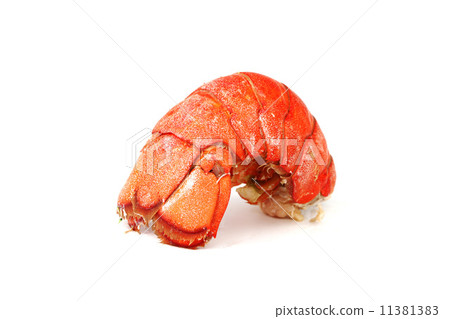 lobster tail lobster tail 11381383