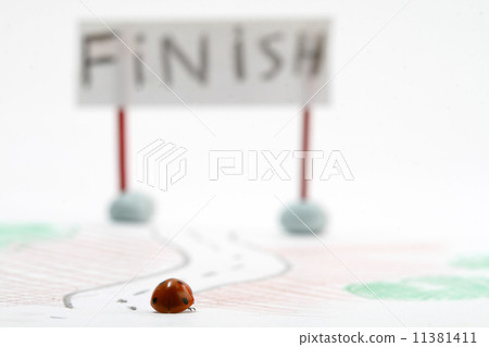 ladybug racer ladybug racer 11381411