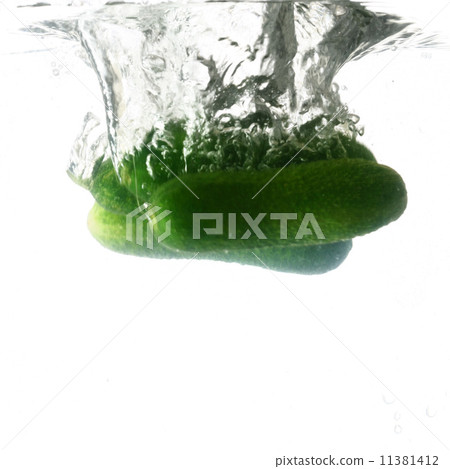 cucumber splash cucumber splash 11381412