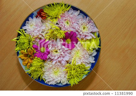 Flowers in bowl 11381990