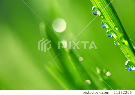 big water drop 11382296