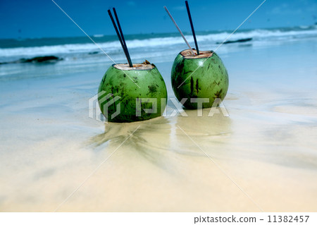 coconut cocktail 11382457