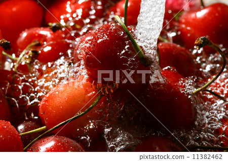 sweet cherry under wet sweet cherry under wet 11382462