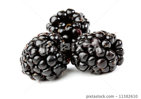 blackberry blackberry 11382610