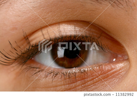 eye eye 11382992