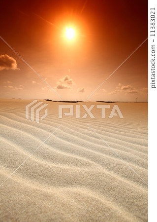 desert 11383021