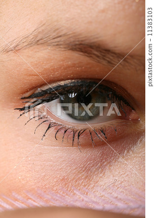 eye 11383103