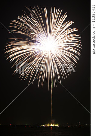 煙花 11383413