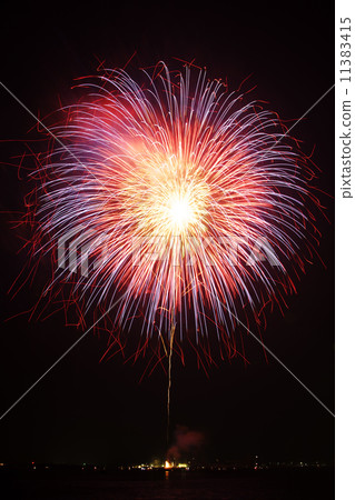 煙花 11383415