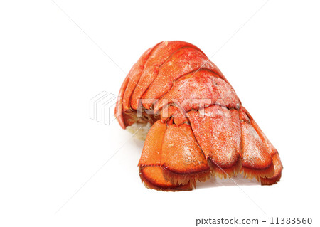 lobster tail lobster tail 11383560