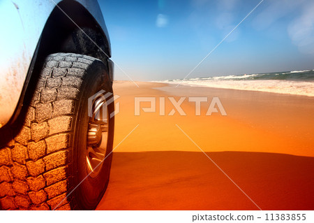 desert truck 11383855