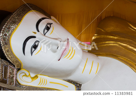 Reclining Buddha 11383981