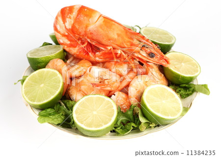shrimp background 11384235