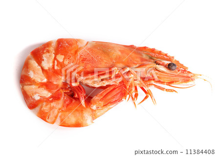 boiled shrimp 11384408