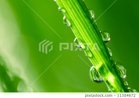 big water drop 11384672