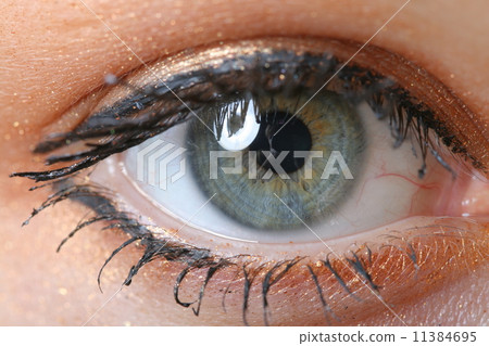 eye 11384695