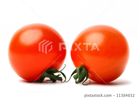 isolated tomato isolated tomato 11384832