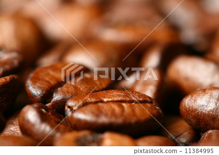 coffee beans 11384995
