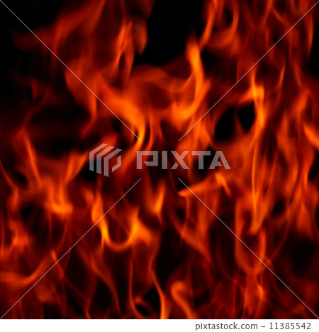 fire fire 11385542