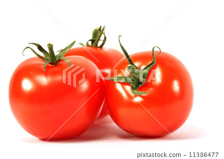 isolated tomato isolated tomato 11386477