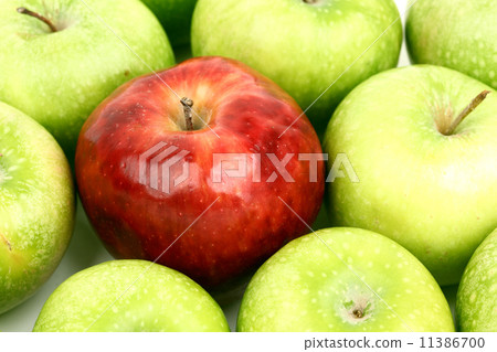 red and green apples 11386700