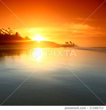 ocean sunrice 11386713