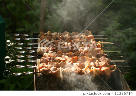 Shish kebab 11386714