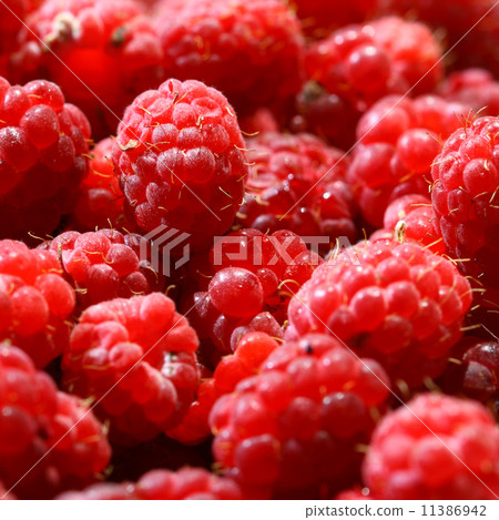 raspberry background 11386942