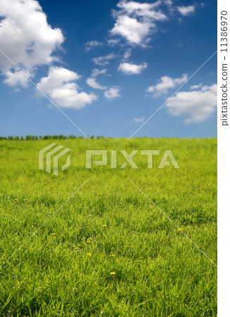 happy landscape 11386970