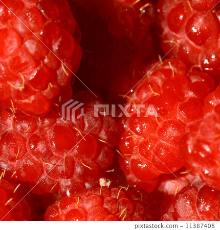 raspberry 11387408